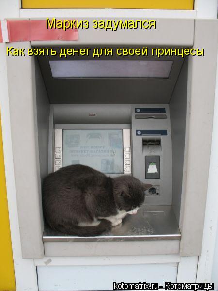 Маркиз задумался Как взять денег для своей принцесы... Котоматрица: Маркиз задумался Как взять денег для своей принцесы