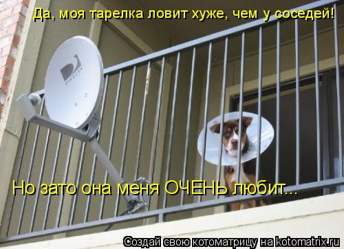 Но зато она меня ОЧЕНЬ любит... Да, моя тарелка ловит хуже, чем у соседей!... Котоматрица: Но зато она меня ОЧЕНЬ любит... Да, моя тарелка ловит хуже, чем у соседей!