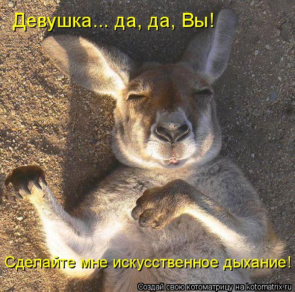 Девушка... да, да, Вы! Сделайте мне искусственное дыхание!... Котоматрица: Девушка... да, да, Вы! Сделайте мне искусственное дыхание!