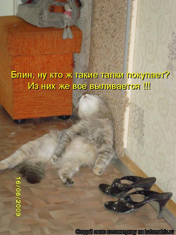 Блин, ну кто ж такие тапки покупает? Из них же все выливается !!!... Котоматрица: Блин, ну кто ж такие тапки покупает? Из них же все выливается !!!