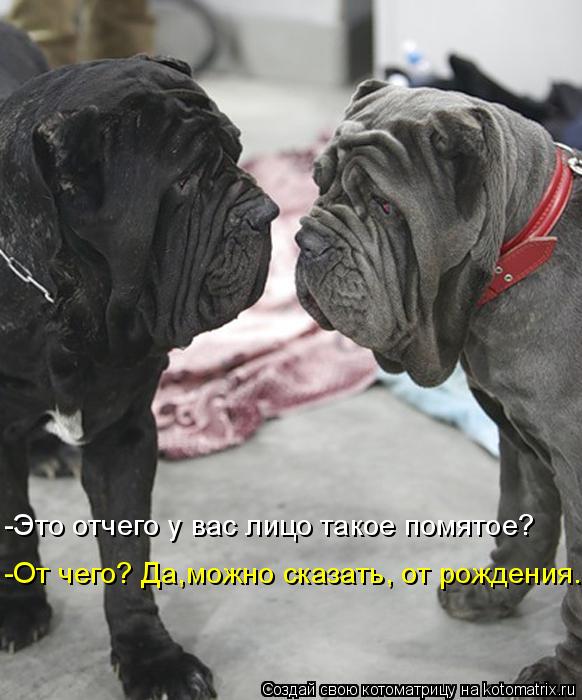-От чего? Да,можно сказать, от рождения. -Это отчего у вас лицо такое помятое?... Котоматрица: -От чего? Да,можно сказать, от рождения. -Это отчего у вас лицо такое помятое?
