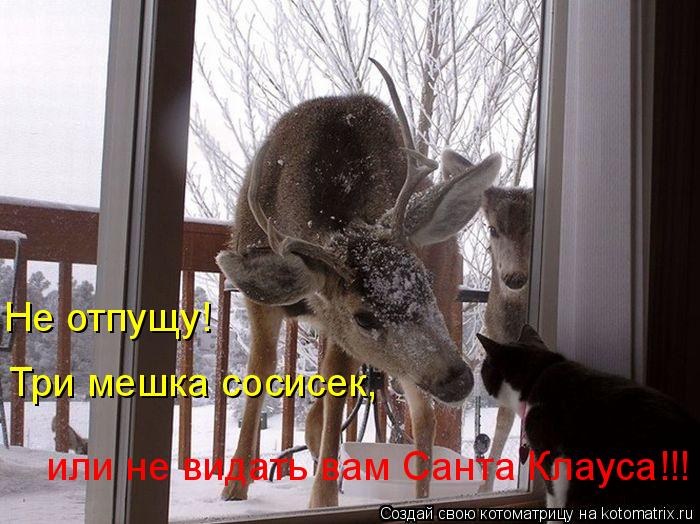 Три мешка сосисек, или не видать вам Санта Клауса!!! Не отпущу!... Котоматрица: Три мешка сосисек, или не видать вам Санта Клауса!!! Не отпущу!