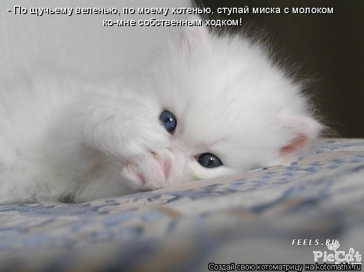 - По щучьему веленью, по моему хотенью, ступай миска с молоком ко-мне собственным ходком!... Котоматрица: - По щучьему веленью, по моему хотенью, ступай миска с молоком ко-мне собственным ходком!