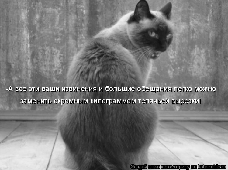 -А все эти ваши извинения и большие обещания легко можно заменить скромным килограммом телячьей вырез... Котоматрица: -А все эти ваши извинения и большие обещания легко можно заменить скромным килограммом телячьей вырезки!
