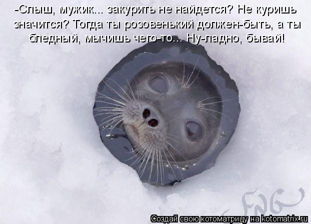 -Слыш, мужик... закурить не найдется? Не куришь значится? Тогда ты розовенький должен-быть, а ты бле... Котоматрица: -Слыш, мужик... закурить не найдется? Не куришь значится? Тогда ты розовенький должен-быть, а ты бледный, мычишь чего-то... Ну-ладно, бывай!