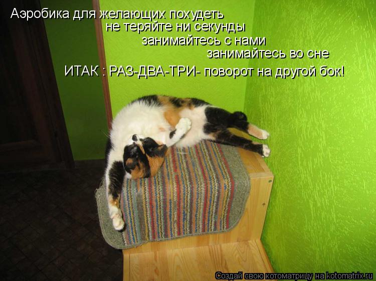 Аэробика для желающих похудеть не теряйте ни секунды занимайтесь с нами занимайтесь во сне ИТАК : РАЗ... Котоматрица: Аэробика для желающих похудеть не теряйте ни секунды занимайтесь с нами занимайтесь во сне ИТАК : РАЗ-ДВА-ТРИ- поворот на другой бок!