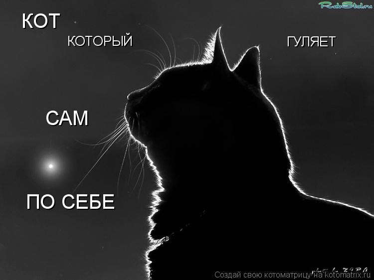 КОТ КОТОРЫЙ ГУЛЯЕТ САМ ПО СЕБЕ... Котоматрица: КОТ КОТОРЫЙ ГУЛЯЕТ САМ ПО СЕБЕ