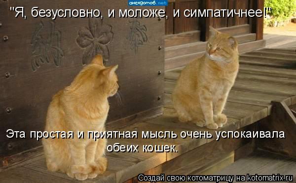 "Я, безусловно, и моложе, и симпатичнее!" Эта простая и приятная мысль очень успокаивала обеих коше... Котоматрица: "Я, безусловно, и моложе, и симпатичнее!" Эта простая и приятная мысль очень успокаивала обеих кошек.