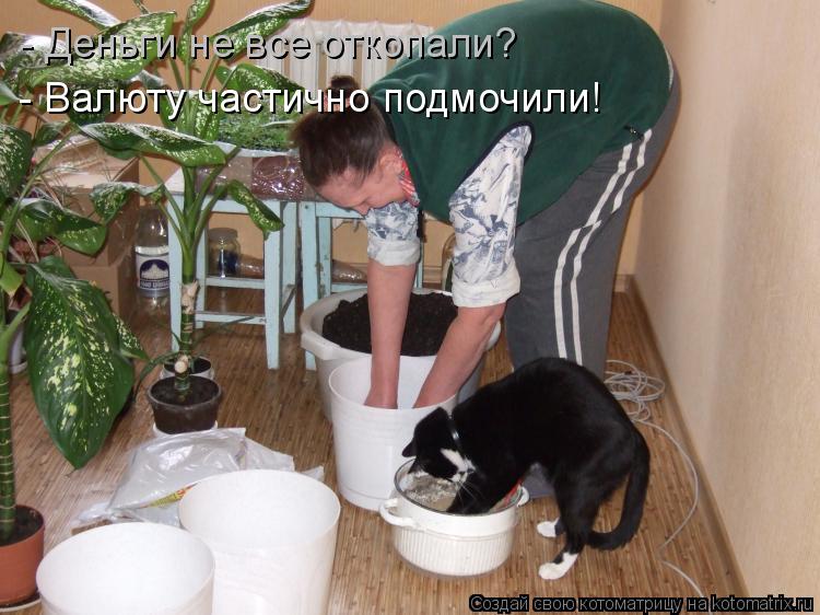 - Деньги не все откопали? - Валюту частично подмочили!... Котоматрица: - Деньги не все откопали? - Валюту частично подмочили!