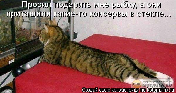 Просил подарить мне рыбку, а они притащили какие-то консервы в стекле...... Котоматрица: Просил подарить мне рыбку, а они притащили какие-то консервы в стекле...