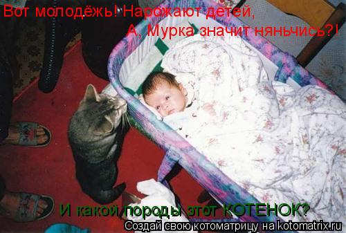 Вот молодёжь! Нарожают детей, А, Мурка значит няньчись?! И какой породы этот КОТЕНОК?... Котоматрица: Вот молодёжь! Нарожают детей, А, Мурка значит няньчись?! И какой породы этот КОТЕНОК?