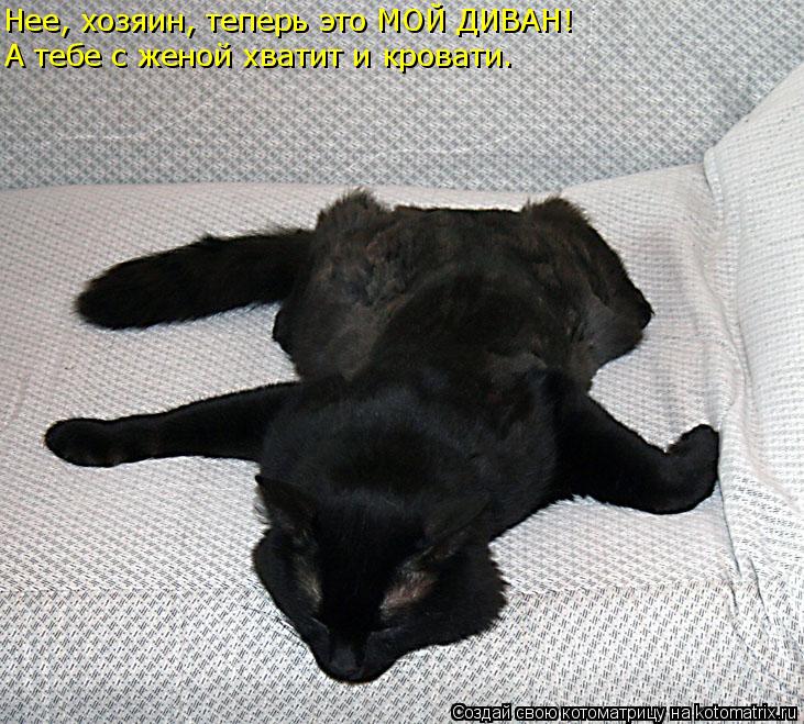 Нее, хозяин, теперь это МОЙ ДИВАН! А тебе с женой хватит и кровати.... Котоматрица: Нее, хозяин, теперь это МОЙ ДИВАН! А тебе с женой хватит и кровати.