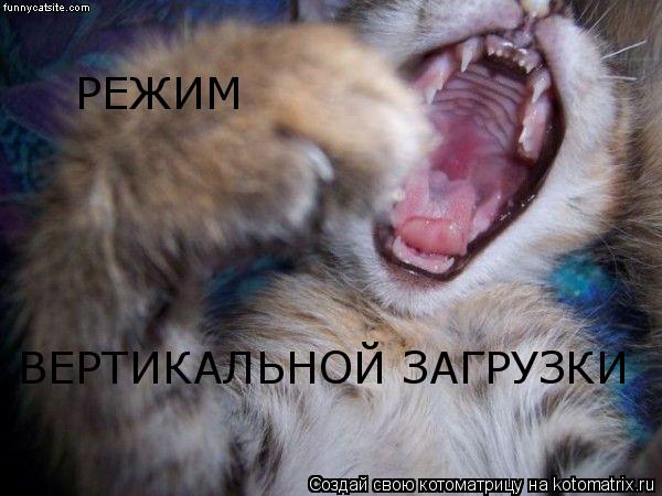 РЕЖИМ ВЕРТИКАЛЬНОЙ ЗАГРУЗКИ... Котоматрица: РЕЖИМ ВЕРТИКАЛЬНОЙ ЗАГРУЗКИ