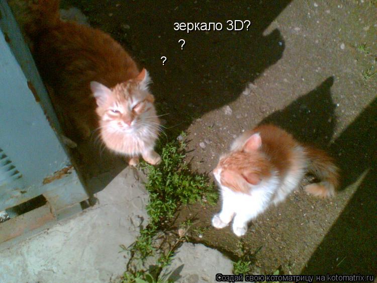 зеркало 3D? ? ?... Котоматрица: зеркало 3D? ? ?