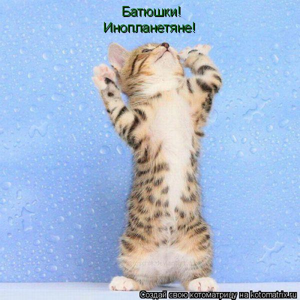 Батюшки! Инопланетяне!... Котоматрица: Батюшки! Инопланетяне!