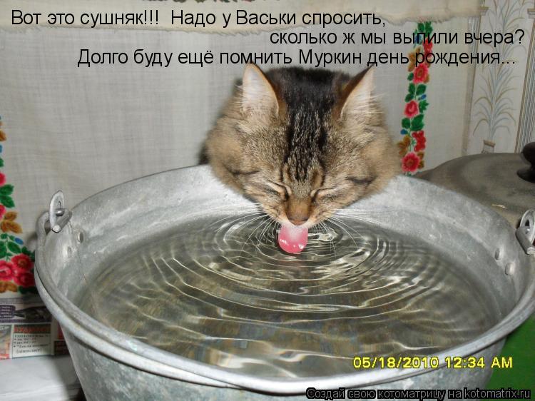 Вот это сушняк!!! Надо у Васьки спросить, сколько ж мы выпили вчера? Долго буду ещё помнить Муркин... Котоматрица: Вот это сушняк!!! Надо у Васьки спросить, сколько ж мы выпили вчера? Долго буду ещё помнить Муркин день рождения...