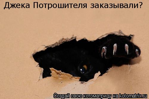 Джека Потрошителя заказывали?... Котоматрица: Джека Потрошителя заказывали?