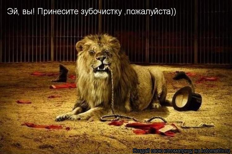 Эй, вы! Принесите зубочистку ,пожалуйста))... Котоматрица: Эй, вы! Принесите зубочистку ,пожалуйста))