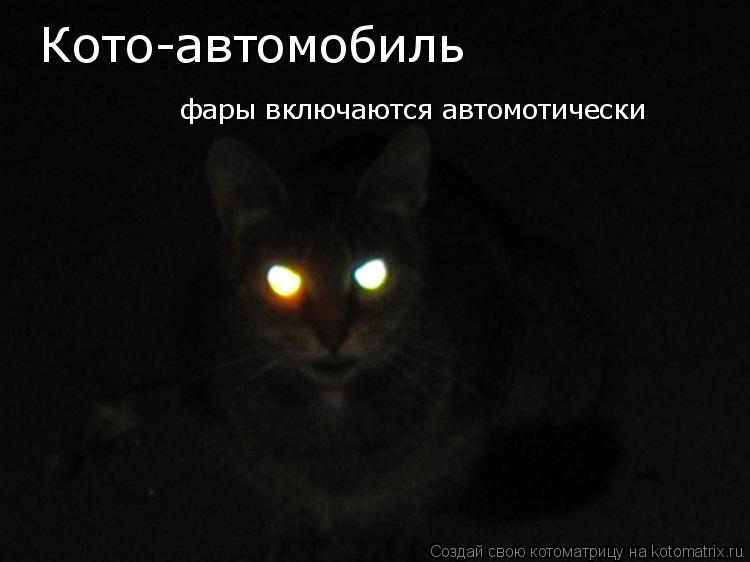 Кото-автомобиль фары включаются автомотически... Котоматрица: Кото-автомобиль фары включаются автомотически