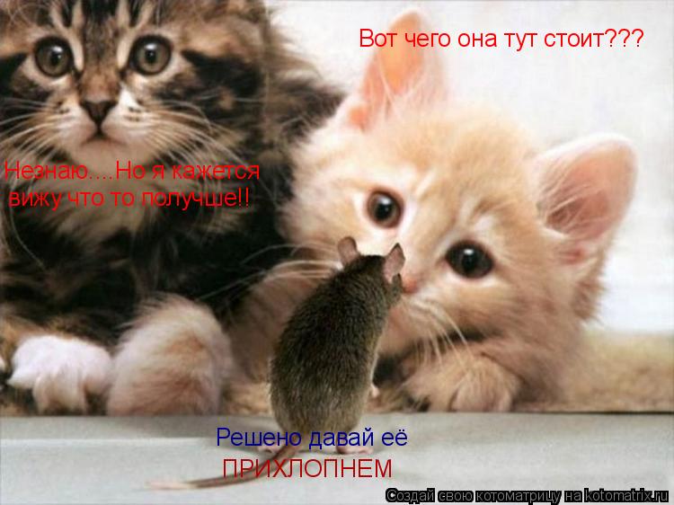 Вот чего она тут стоит??? Незнаю....Но я кажется вижу что то получше!! Решено давай её ПРИХЛОПНЕМ... Котоматрица: Вот чего она тут стоит??? Незнаю....Но я кажется вижу что то получше!! Решено давай её ПРИХЛОПНЕМ