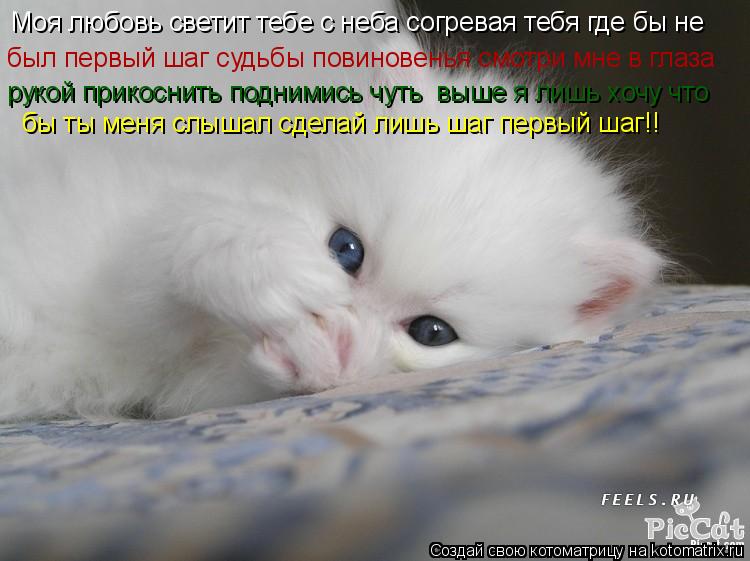 Моя любовь светит тебе с неба согревая тебя где бы не был первый шаг судьбы повиновенья смотри мне в ... Котоматрица: Моя любовь светит тебе с неба согревая тебя где бы не был первый шаг судьбы повиновенья смотри мне в глаза рукой прикоснить поднимись чуть