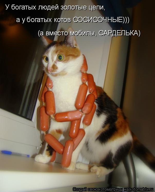 а у богатых котов СОСИСОЧНЫЕ))) У богатых людей золотые цепи, (а вместо мобилы, САРДЕЛЬКА)... Котоматрица: а у богатых котов СОСИСОЧНЫЕ))) У богатых людей золотые цепи, (а вместо мобилы, САРДЕЛЬКА)