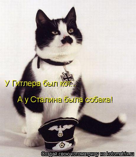 А у Сталина была собака! У Гитлера был кот...... Котоматрица: А у Сталина была собака! У Гитлера был кот...