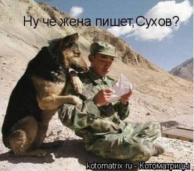 Ну чё жена пишет,Сухов?... Котоматрица: Ну чё жена пишет,Сухов?