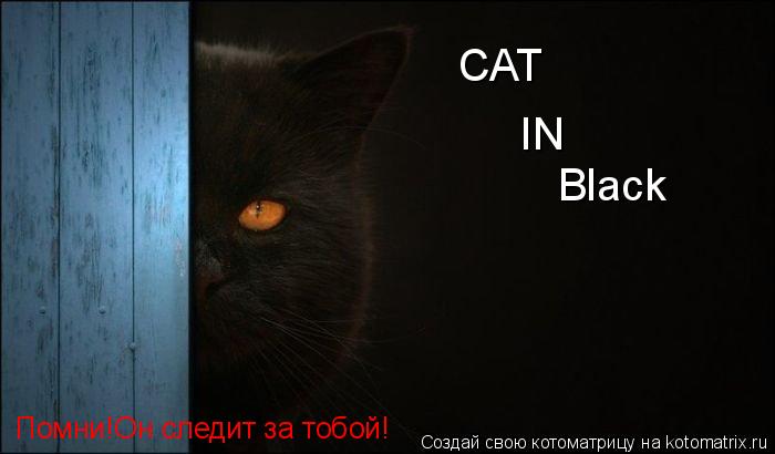 CAT IN Black Помни!Он следит за тобой!... Котоматрица: CAT IN Black Помни!Он следит за тобой!