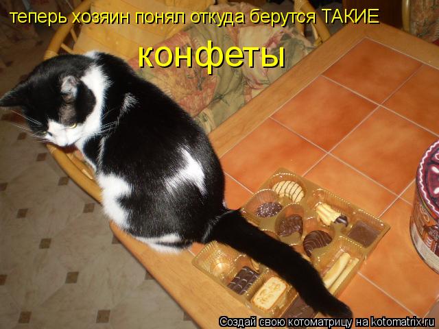 теперь хозяин понял откуда берутся ТАКИЕ конфеты... Котоматрица: теперь хозяин понял откуда берутся ТАКИЕ конфеты