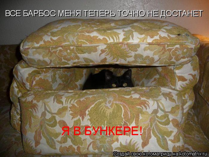 ВСЕ БАРБОС МЕНЯ ТЕПЕРЬ ТОЧНО НЕ ДОСТАНЕТ Я В БУНКЕРЕ!... Котоматрица: ВСЕ БАРБОС МЕНЯ ТЕПЕРЬ ТОЧНО НЕ ДОСТАНЕТ Я В БУНКЕРЕ!