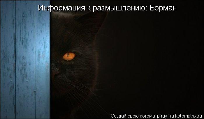 Информация к размышлению: Борман... Котоматрица: Информация к размышлению: Борман