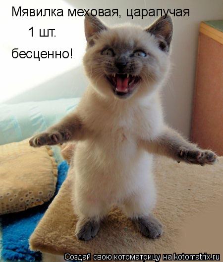 Мявилка меховая, царапучая 1 шт. бесценно!... Котоматрица: Мявилка меховая, царапучая 1 шт. бесценно!
