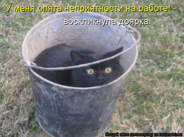 У меня опять неприятности на работе! - воскликнула доярка.... Котоматрица: У меня опять неприятности на работе! - воскликнула доярка.
