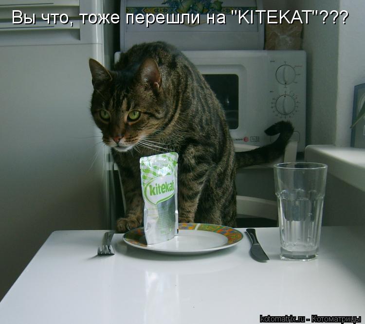 Вы что, тоже перешли на "KITEKAT"???... Котоматрица: Вы что, тоже перешли на "KITEKAT"???
