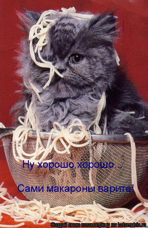 Ну хорошо,хорошо... Сами макароны варите!... Котоматрица: Ну хорошо,хорошо... Сами макароны варите!