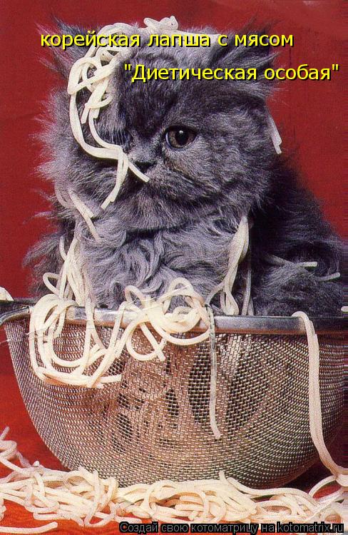 корейская лапша с мясом "Диетическая особая"... Котоматрица: корейская лапша с мясом "Диетическая особая"