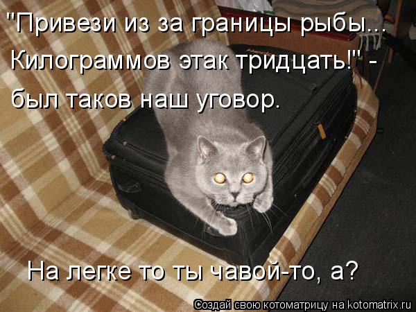 "Привези из за границы рыбы... Килограммов этак тридцать!" - был таков наш уговор. На легке то ты чав... Котоматрица: "Привези из за границы рыбы... Килограммов этак тридцать!" - был таков наш уговор. На легке то ты чавой-то, а?