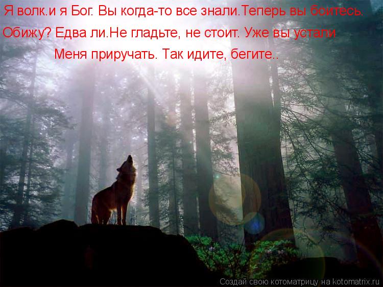Я волк–и я Бог. Вы когда-то все знали.Теперь вы боитесь. Обижу? Едва ли.Не гладьте, не стоит. Уже вы... Котоматрица: Я волк–и я Бог. Вы когда-то все знали.Теперь вы боитесь. Обижу? Едва ли.Не гладьте, не стоит. Уже вы устали Меня приручать. Так идите, бегите…