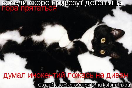 соседи скоро привезут детеныша. пора прятаться думал инокентий ложась на диван... Котоматрица: соседи скоро привезут детеныша. пора прятаться думал инокентий ложась на диван