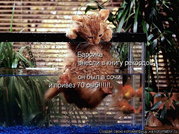 Барсика внесли в книгу рекордов ......... он был в сочи и привёз 70 рыб!!!!!!... Котоматрица: Барсика внесли в книгу рекордов ......... он был в сочи и привёз 70 рыб!!!!!!