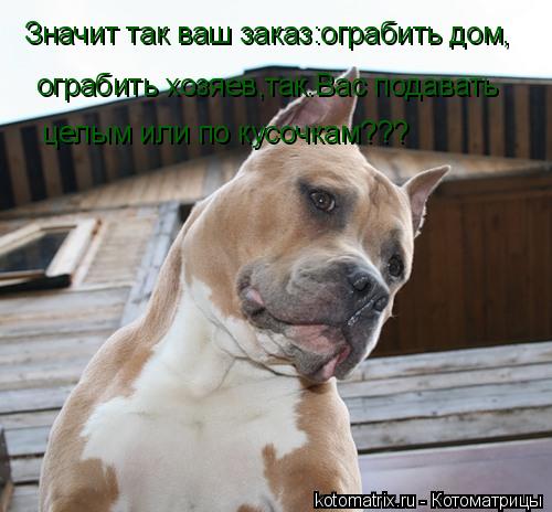 Значит так ваш заказ:ограбить дом, Значит так ваш заказ:ограбить дом, ограбить хозяев,так.Вас подават... Котоматрица: Значит так ваш заказ:ограбить дом, Значит так ваш заказ:ограбить дом, ограбить хозяев,так.Вас подавать целым или по кусочкам???