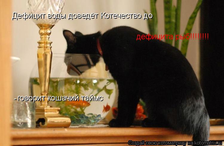 Дефицит воды доведёт Котечество до дефицита рыб!!!!!!!! - говорит кошачий таймс... Котоматрица: Дефицит воды доведёт Котечество до дефицита рыб!!!!!!!! - говорит кошачий таймс