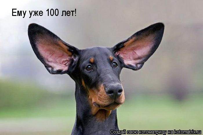 Ему уже 100 лет!... Котоматрица: Ему уже 100 лет!