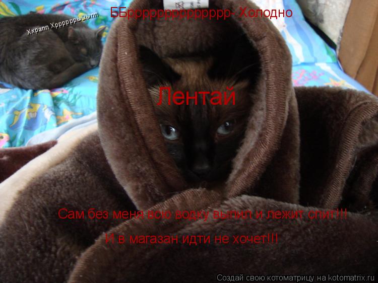 ББрррррррррррррр- Холодно Сам без меня всю водку выпил и лежит спит!!! Лентай И в магазан идти не... Котоматрица: ББрррррррррррррр- Холодно Сам без меня всю водку выпил и лежит спит!!! Лентай И в магазан идти не хочет!!! Ххрапп Хррррррыыыпп