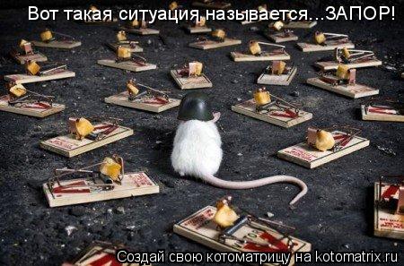 Вот такая ситуация называется...ЗАПОР!... Котоматрица: Вот такая ситуация называется...ЗАПОР!