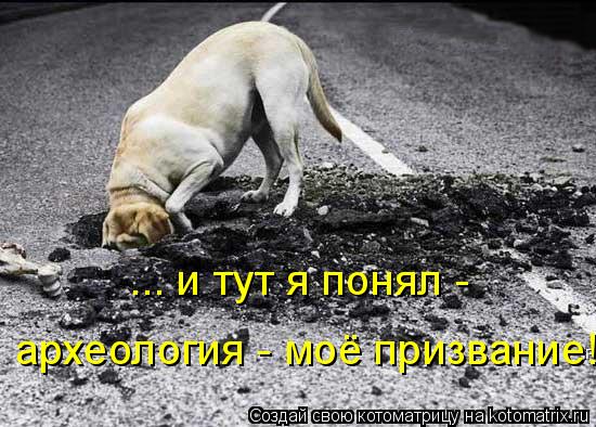 ... и тут я понял - археология - моё призвание!... Котоматрица: ... и тут я понял - археология - моё призвание!