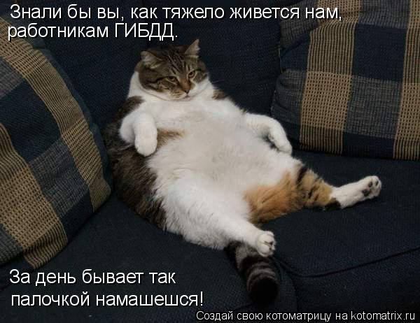 Знали бы вы, как тяжело живется нам, работникам ГИБДД. палочкой намашешся! За день бывает так... Котоматрица: Знали бы вы, как тяжело живется нам, работникам ГИБДД. палочкой намашешся! За день бывает так