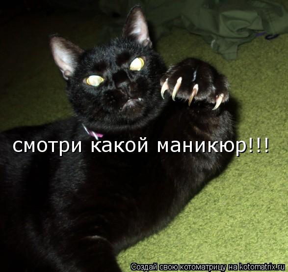 смотри какой маникюр!!!... Котоматрица: смотри какой маникюр!!!