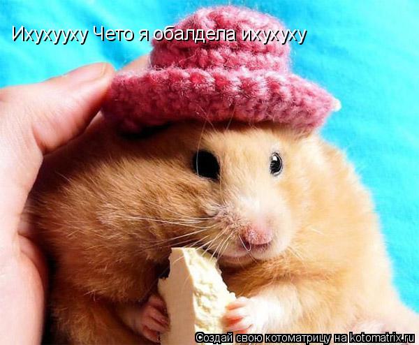 Ихухууху Чето я обалдела ихухуху... Котоматрица: Ихухууху Чето я обалдела ихухуху